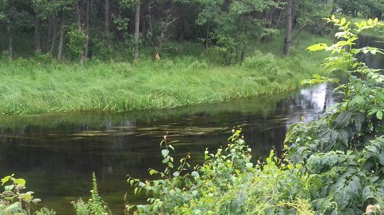 Czarna Hańcza River